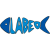 Labeo