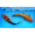 Карп кои Ассорти (Cyprinus carpio koi) - 35-40см