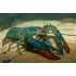 Красноклешневый рак (Cherax quadricarinatus) - 5см