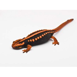 Крокодиловый тритон (Tylototriton shanjing) - 8-9см