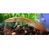 Макрогнатус глазчатый (Macrognathus aculeatus) - 5-6см